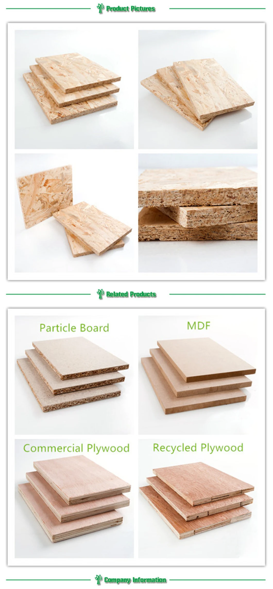 China Factory Water Proof OSB3 Board in 9mm 12mm 18mm for Furniture