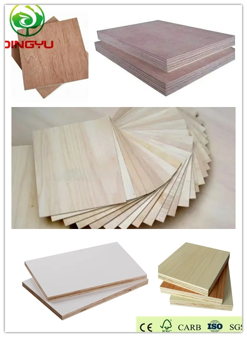 Cheap Commercial Plywood / Okoume Plywood with EPA Certificate / Carb Garde Plywood