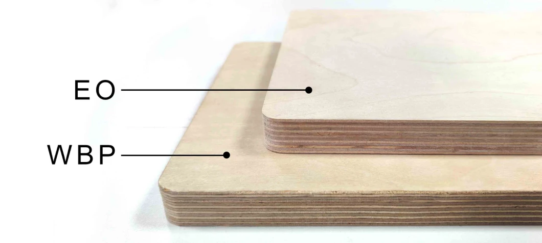 100% Birch Face Plywood 15mm 11 Ply Birch Veneer Plywood Furniture for Sale