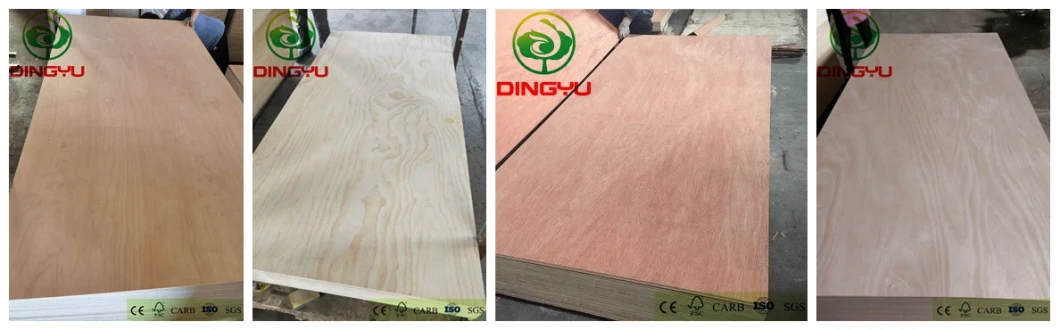 High Quality Okoume/Bintangor/Pine/Birch/Pencil Cedar Faced Furniture Plywood with Cheapprice