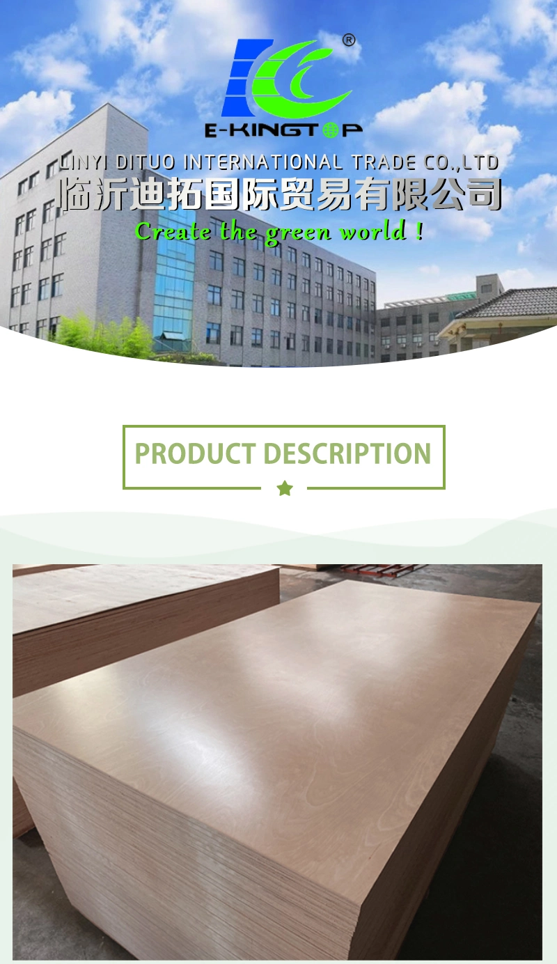 Carp 2 E0/E1 Full Birch Plywood for Furniture /Cabinet