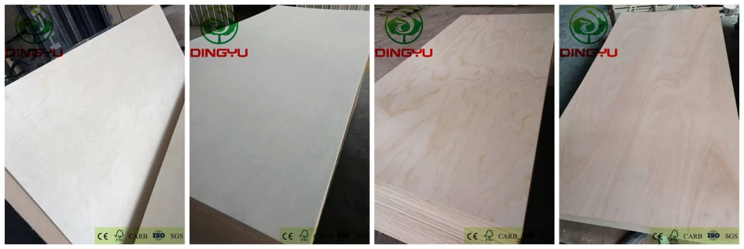 High Quality Okoume/Bintangor/Pine/Birch/Pencil Cedar Faced Furniture Plywood with Cheapprice