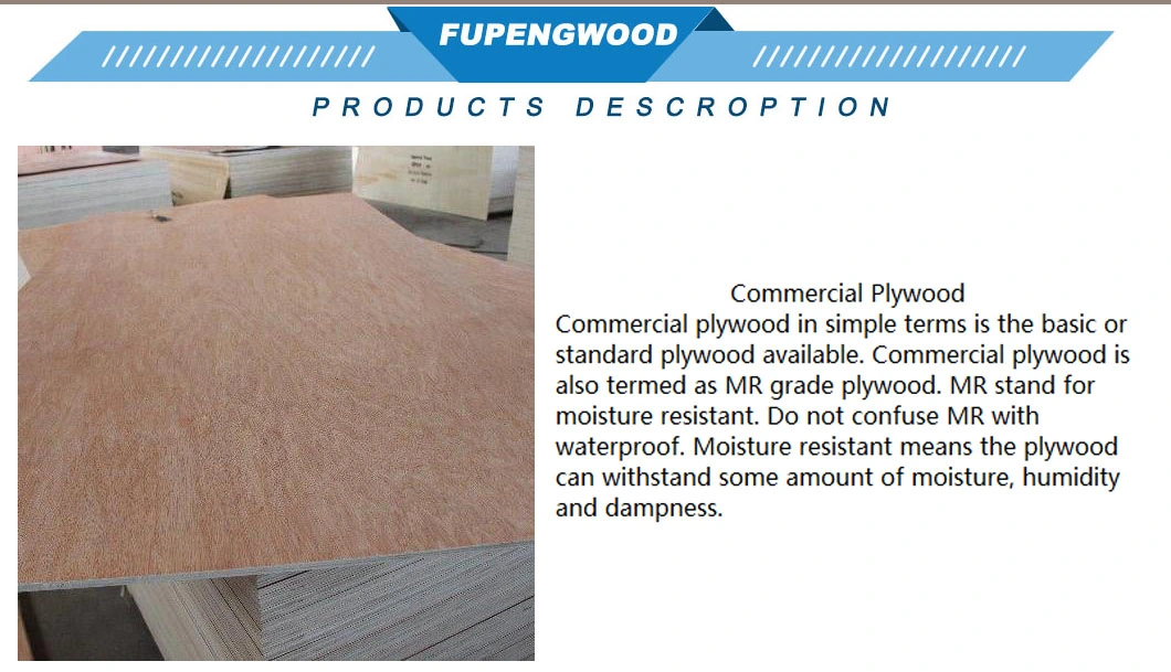 Linyi Factory Commercial Plywood Sheets Birch Plywood /Red Color Plywood Sheet Ply Wood Product Poplar Core Wooden Board