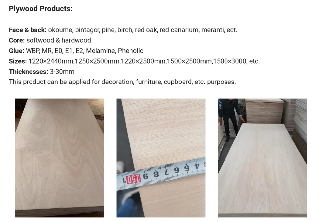 High Quality Eucalyptus Plywood
