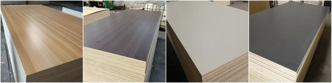 Plywood Okoume/Bleached Poplar/Bintangor/Beech/Pencil Cedar/Birch/Pine/Keruing/Melamine/Laminated/Hardwood/Commercial Plywood for Furniture