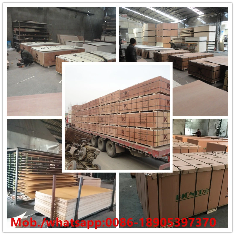 Carb P2 Okoume Plywood for Furniture