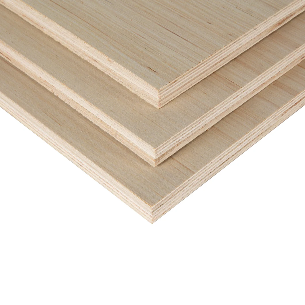 High Quality Eucalyptus Plywood