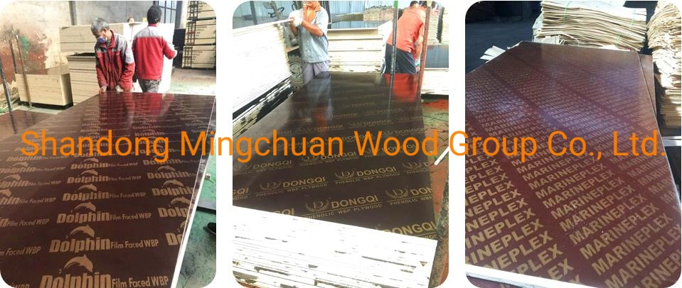 18mm Hardwood PP Plywood Green PP Plastic Film Faced Plywood