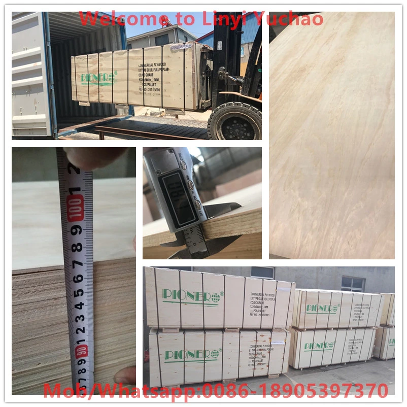 5.0mm Commercial Plywood Poplar Plywood Pine Plywood