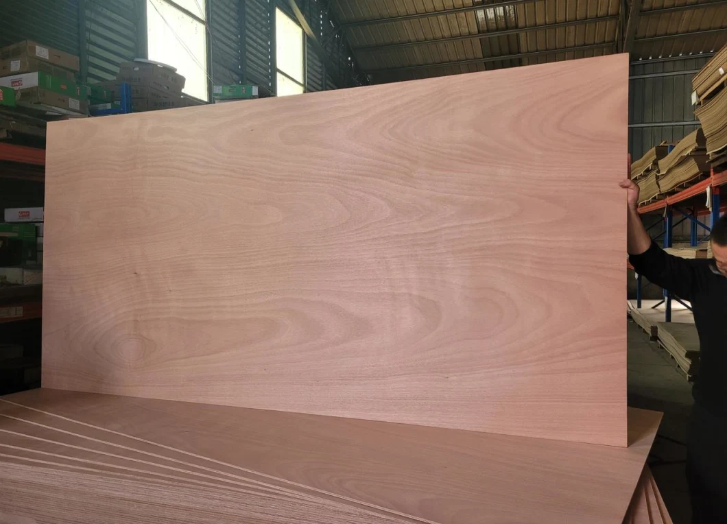 Various Thicknesses of WBP Glue Comply with BS1088 Standard of Marine Plywood