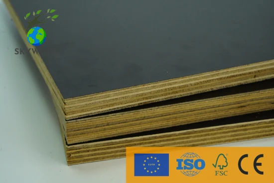 9/12/18mm Commercial Waterproof Construction Melamine Hardwood Film Faced Poplar Shuttering Furniture Plywood with Certifications