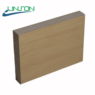 Furniture Grade Quality Plywood for Cabinet, Dining Table with Double Size HPL