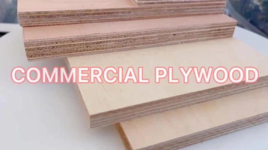Fire-Proof Grade Furniture Used HPL Fancy Plywood for Building Material with CE Certificate