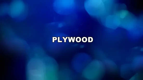 Plywood Okoume/Bleached Poplar/Bintangor/Beech/Pencil Cedar/Birch/Pine/Keruing/Melamine/Laminated/Hardwood/Commercial Plywood for Furniture