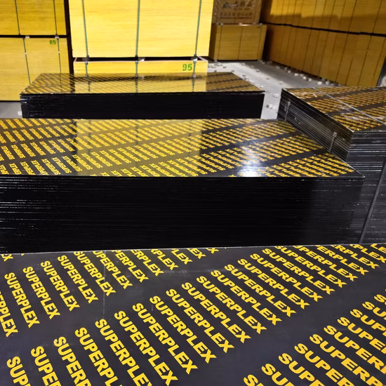 High Quality Eucalyptus Plywood